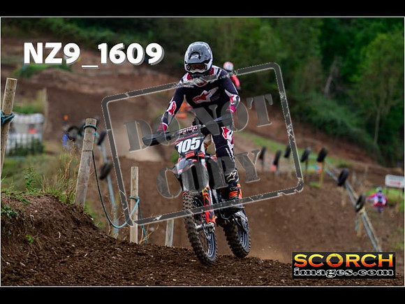 Experts-234