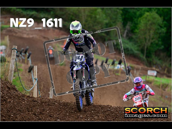 Experts-236