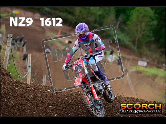 Experts-237