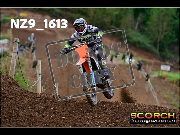 Experts-238