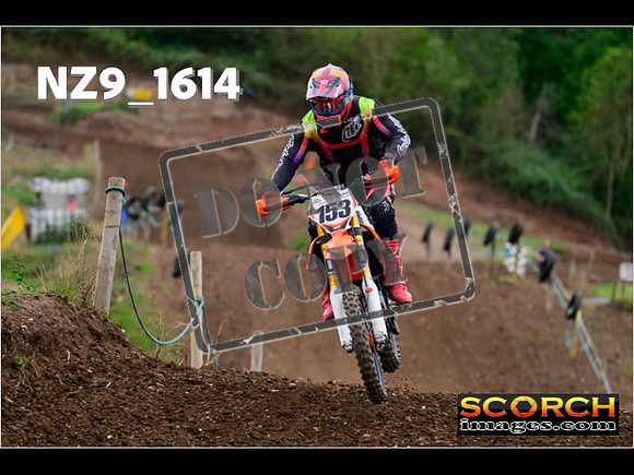 Experts-239