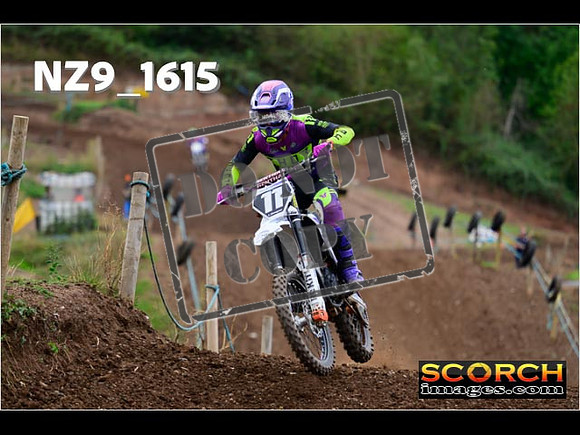 Experts-240