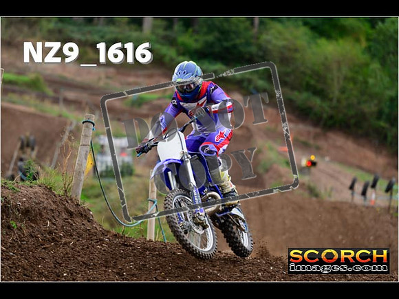 Experts-241