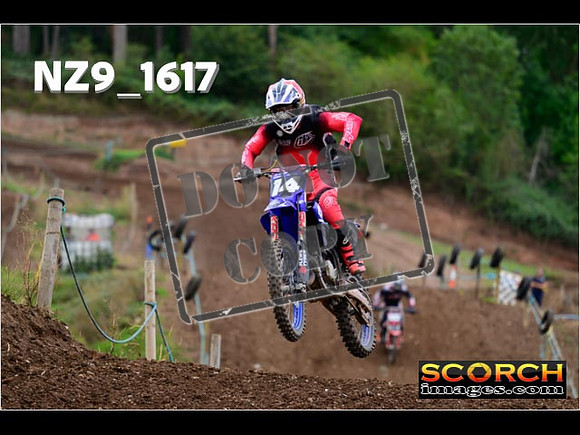 Experts-242
