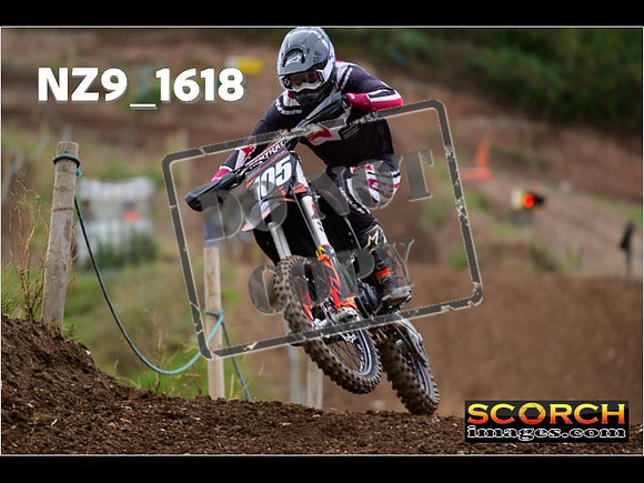 Experts-243