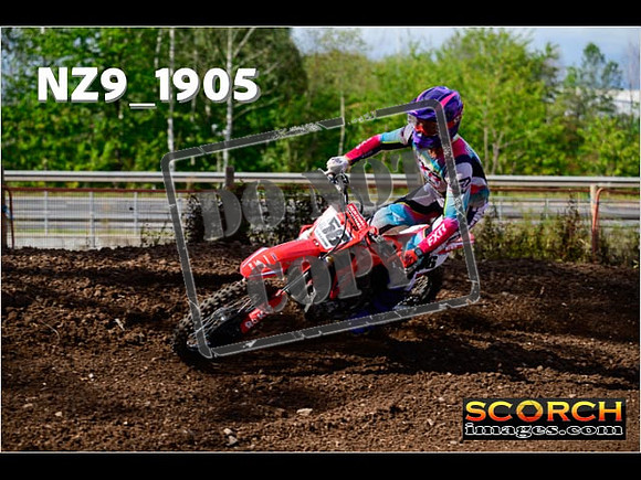 Experts-244