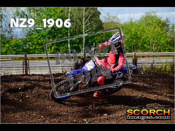 Experts-245
