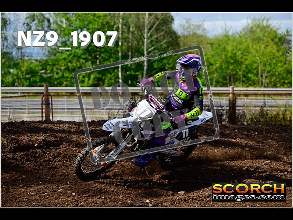 Experts-246