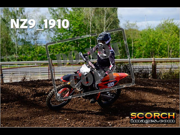 Experts-249