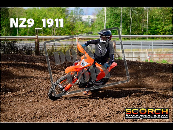 Experts-250