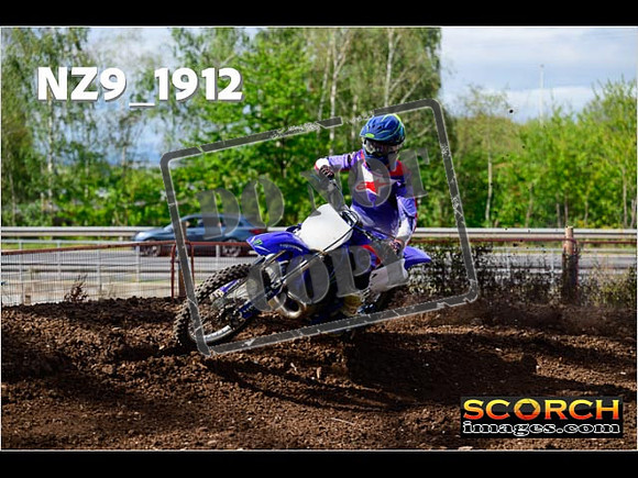Experts-251
