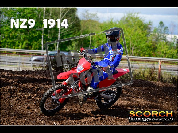 Experts-253