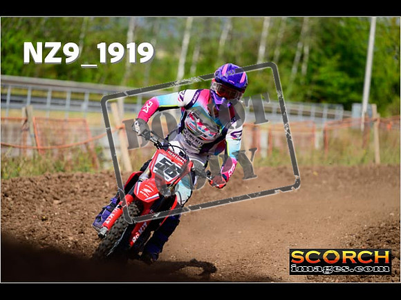 Experts-258