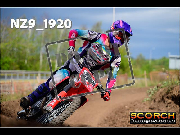 Experts-259