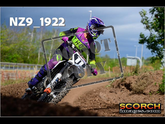 Experts-261