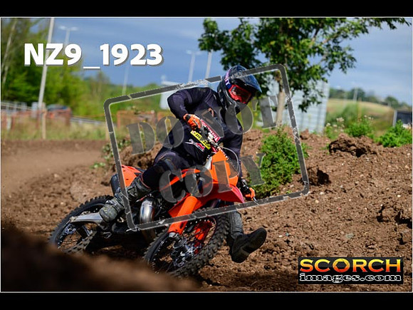 Experts-262