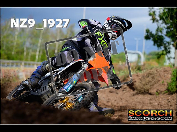 Experts-266