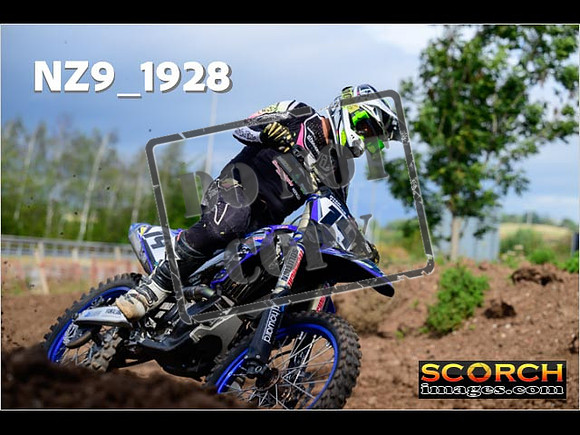Experts-267
