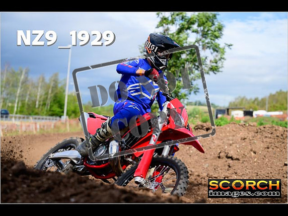 Experts-268