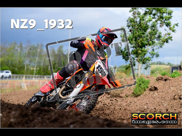 Experts-271