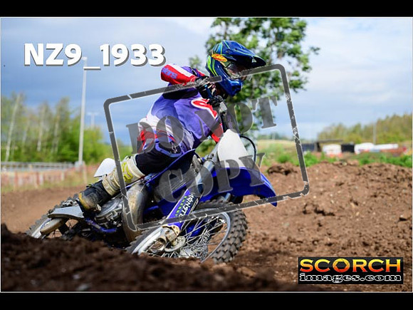 Experts-272