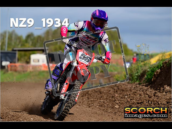 Experts-273