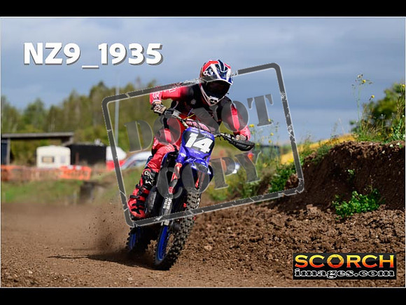 Experts-274