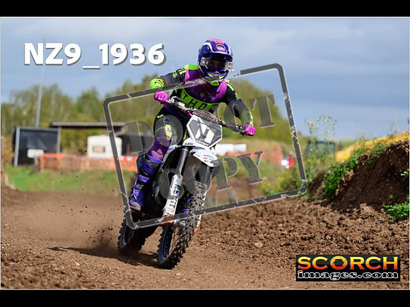 Experts-275