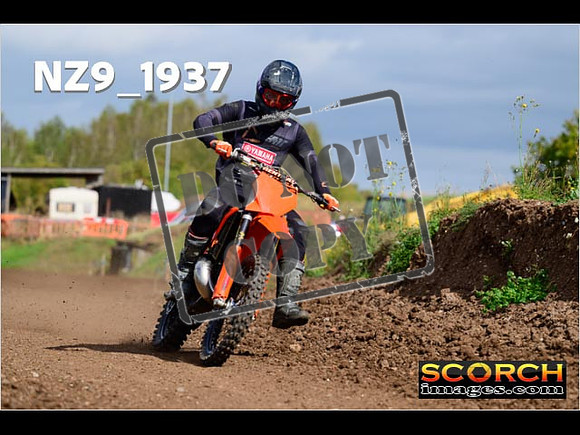 Experts-276