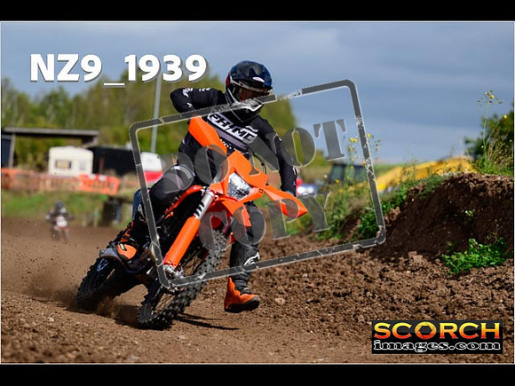 Experts-278