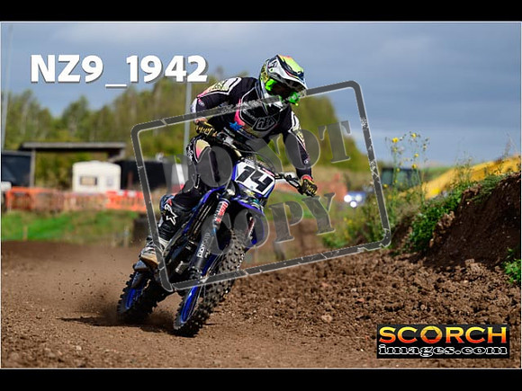 Experts-281