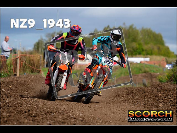 Experts-282