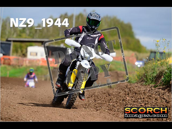 Experts-283