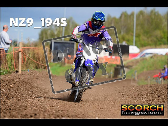 Experts-284