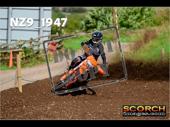Experts-286