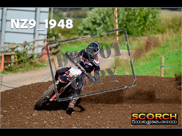 Experts-287