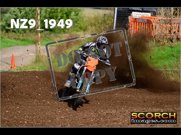 Experts-288
