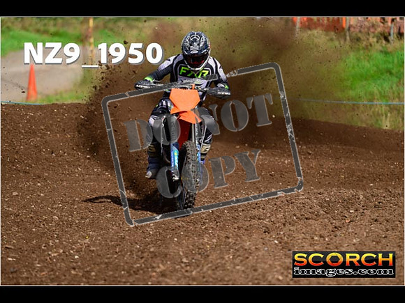 Experts-289