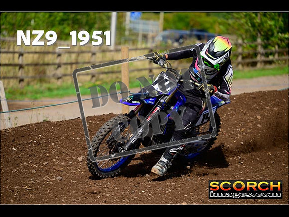 Experts-290