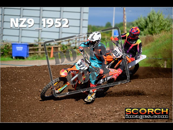 Experts-291