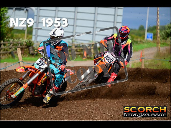 Experts-292