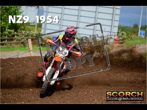 Experts-293