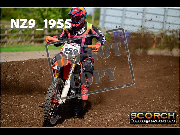 Experts-294