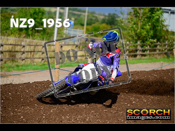 Experts-295
