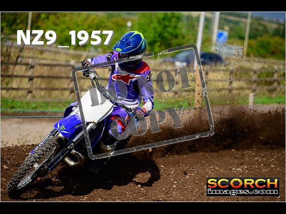 Experts-296