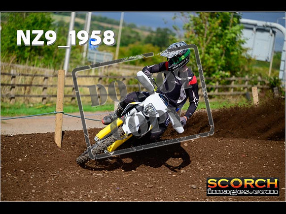 Experts-297