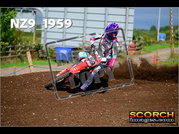Experts-298