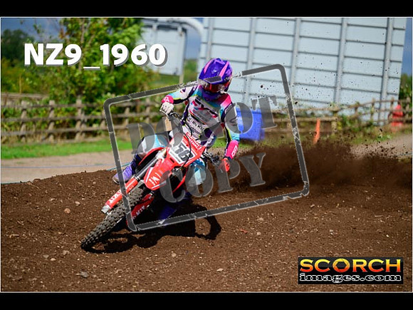Experts-299