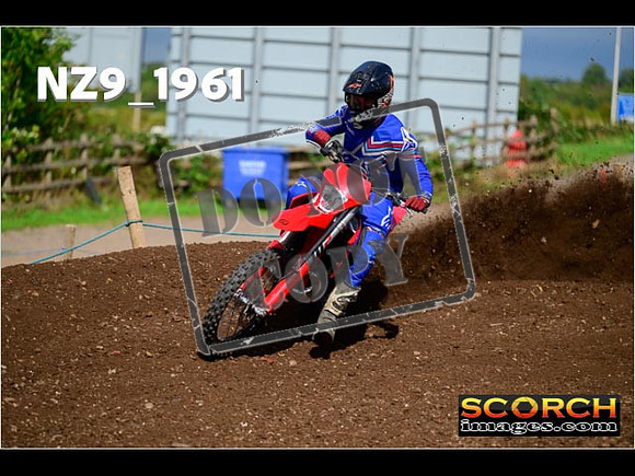 Experts-300