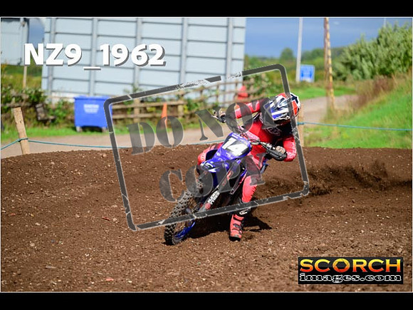 Experts-301